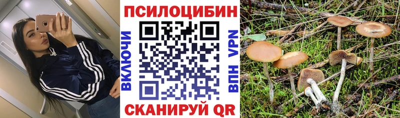наркота  Якутск  Галлюциногенные грибы GOLDEN TEACHER 